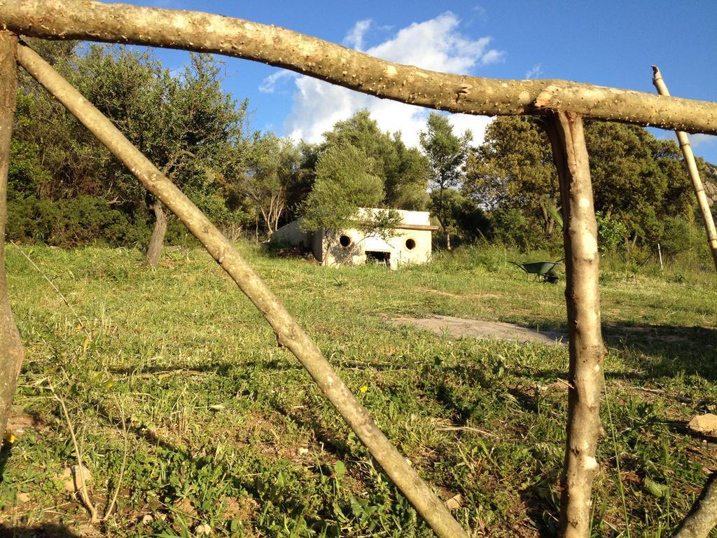 Agriturismo La Casa Delle Fate ローイリ・ポルト・サン・パーオロ エクステリア 写真