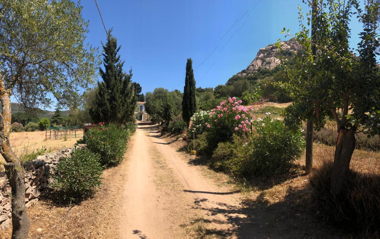 Agriturismo La Casa Delle Fate ローイリ・ポルト・サン・パーオロ エクステリア 写真
