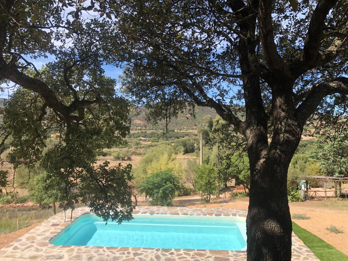 Agriturismo La Casa Delle Fate ローイリ・ポルト・サン・パーオロ エクステリア 写真