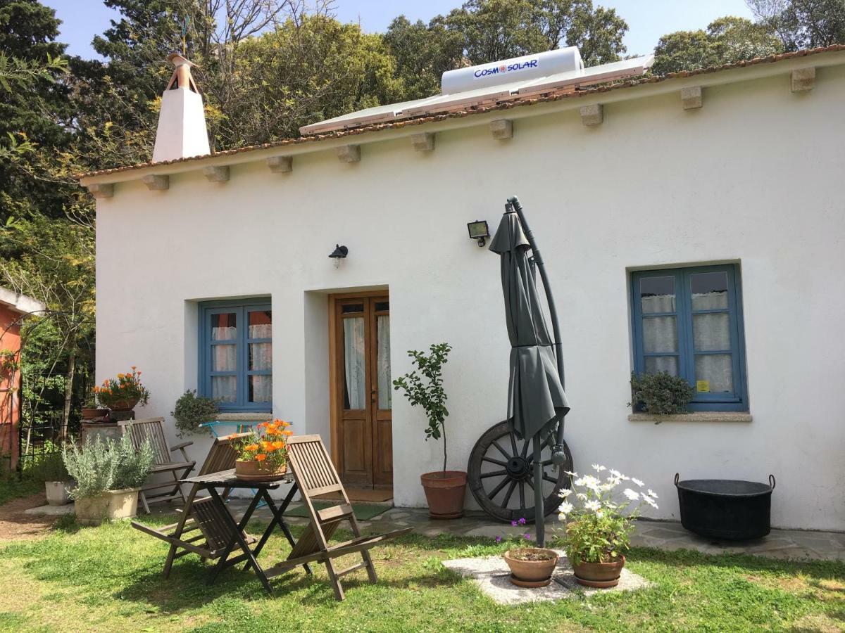 Agriturismo La Casa Delle Fate ローイリ・ポルト・サン・パーオロ エクステリア 写真