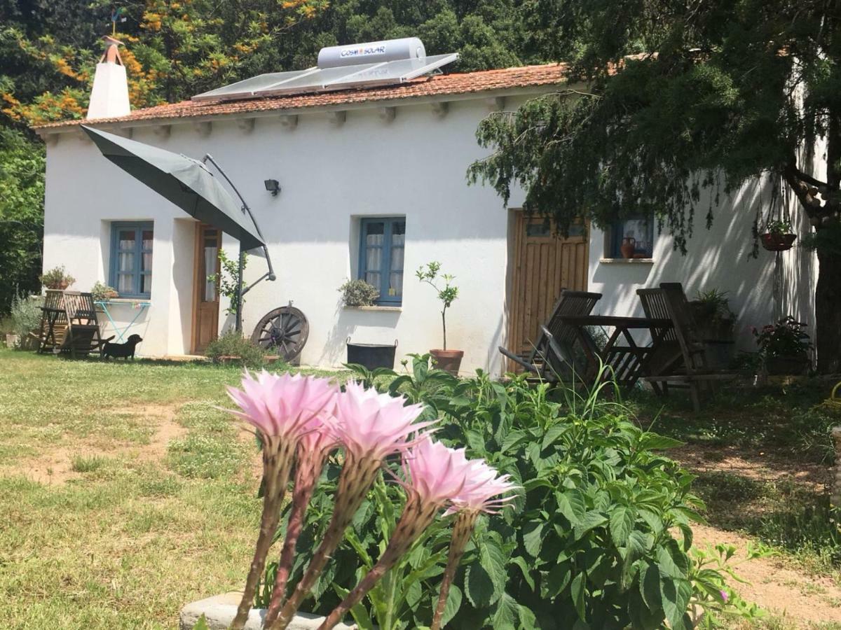 Agriturismo La Casa Delle Fate ローイリ・ポルト・サン・パーオロ エクステリア 写真